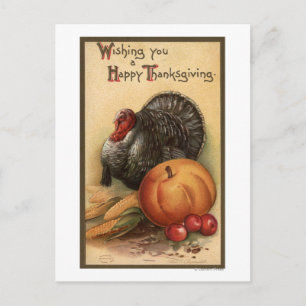 Turkey and Produce # 1 Postcard