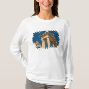 Turkey Aphrodisias a Roman Archaelogical Site T-Shirt