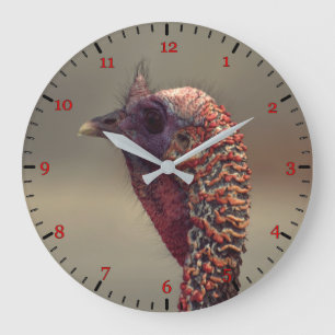 Turkey bird portrait large clock