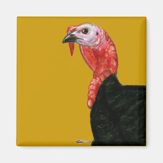 Turkey:  Black Tom Head Magnet