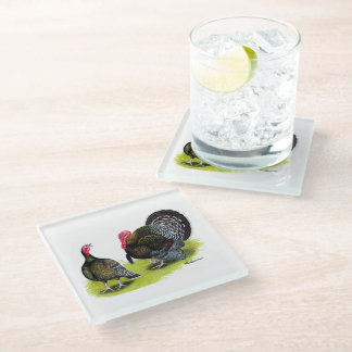 Turkey Broad Breasted Bronze Glass Coaster
