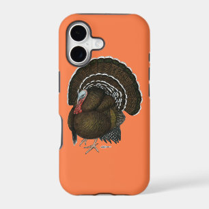Turkey Bronze Tom