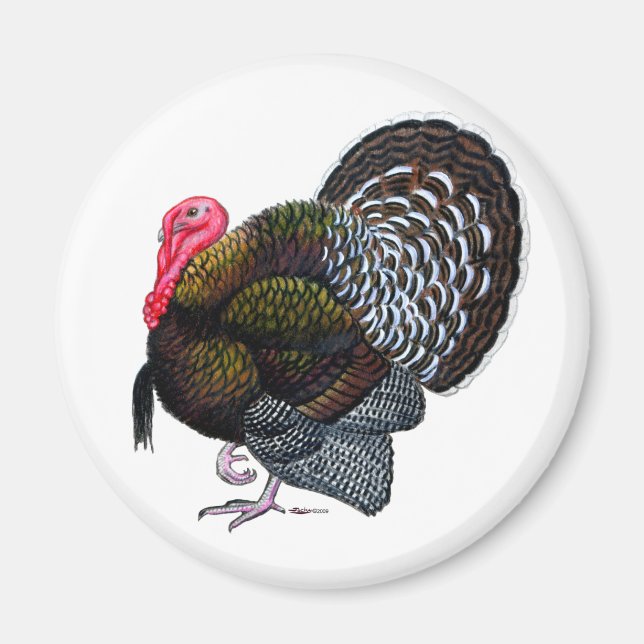 Turkey:  Bronze Tom Magnet (Front)