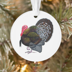 Turkey:  Bronze Tom Ornament