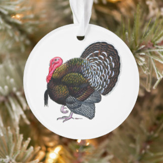 Turkey: Bronze Tom Ornament
