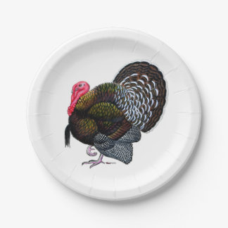 Turkey:  Bronze Tom Paper Plate