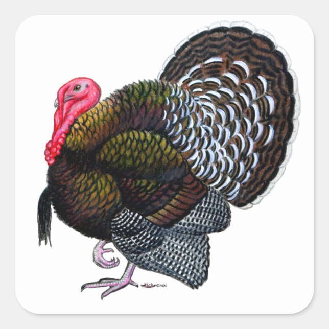 Turkey:  Bronze Tom Square Sticker (Front)