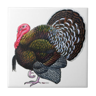 Turkey: Bronze Tom Tile