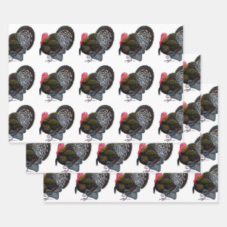 Turkey: Bronze Tom Wrapping Paper Sheet