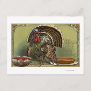 Turkey by Punch and Pie Postcard