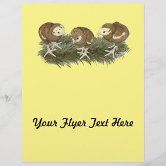 Turkey Chocolate Poults Flyer