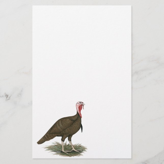 Turkey Chocolate Tom (Front)