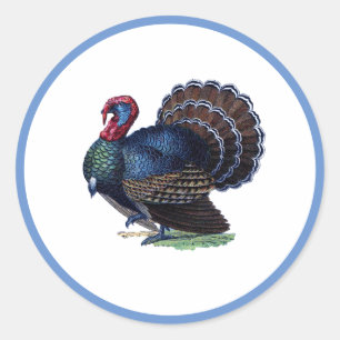 Turkey Classic Round Sticker