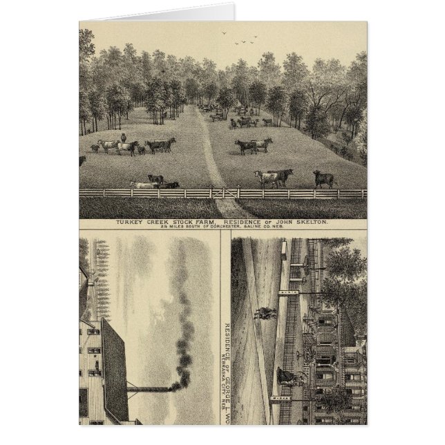 Turkey Creek Farm, Nebraska (Front)