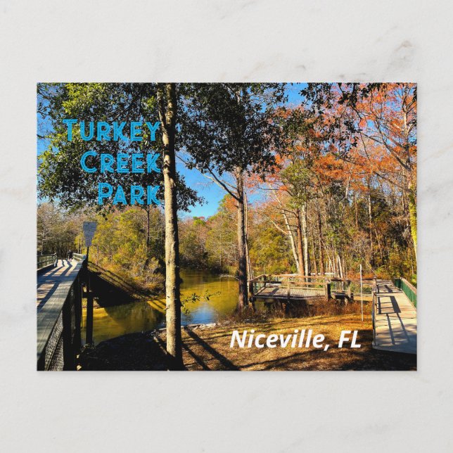 Turkey Creek Niceville Florida Postcard (Front)