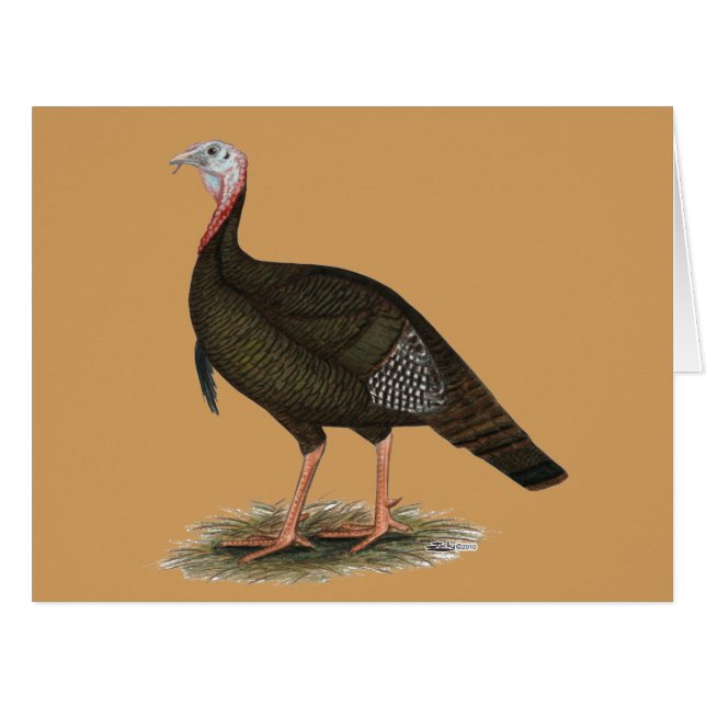 Turkey:  Eastern Wild Tom (Front Horizontal)