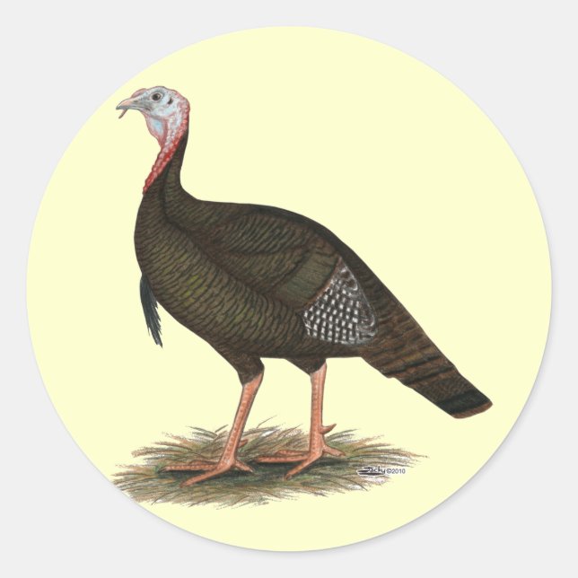 Turkey:  Eastern Wild Tom Classic Round Sticker (Front)