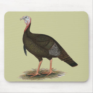 Turkey: Eastern Wild Tom Mouse Pad