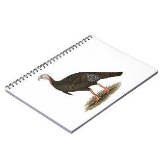 Turkey: Eastern Wild Tom Notebook