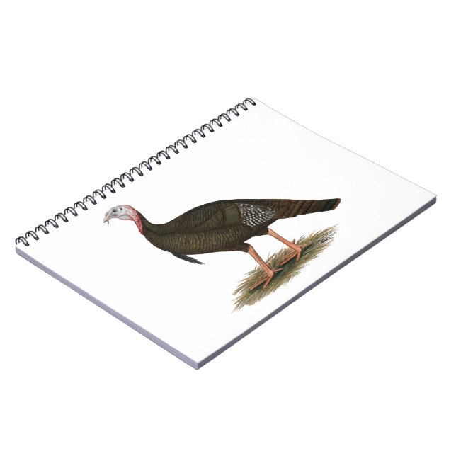 Turkey:  Eastern Wild Tom Notebook (Left Side)