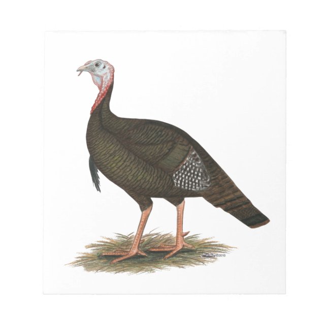 Turkey:  Eastern Wild Tom Notepad (Front)