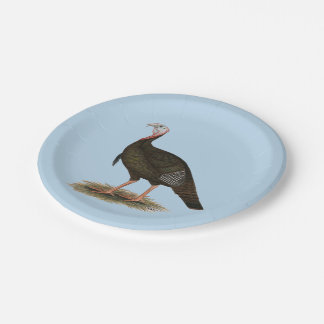 Turkey: Eastern Wild Tom Paper Plate