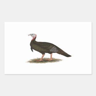 Turkey: Eastern Wild Tom Rectangular Sticker