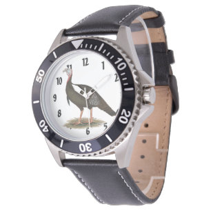 Turkey: Eastern Wild Tom Watch
