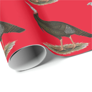 Turkey: Eastern Wild Tom Wrapping Paper