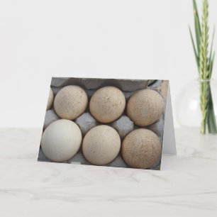 Turkey Eggs Card