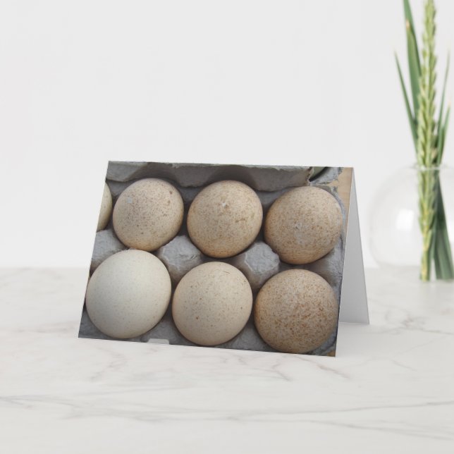 Turkey Eggs Card (Front)