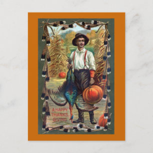 Turkey, Feathers and Farmer Vintage Thanksgiving Holiday Postcard