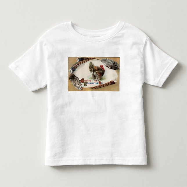 Turkey Feathers Toddler T-Shirt (Front)