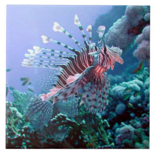 Turkey Fish Tile