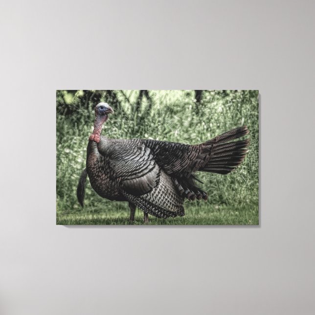 Turkey In the Woods- Sage Green B&W Poster Canvas Print (Front)