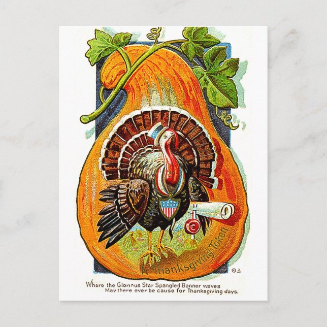 Turkey inside orange pumpkin, vintage thanksgiving postcard (Front)