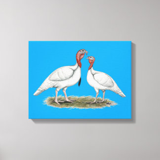 Turkey Mini Whites Canvas Print