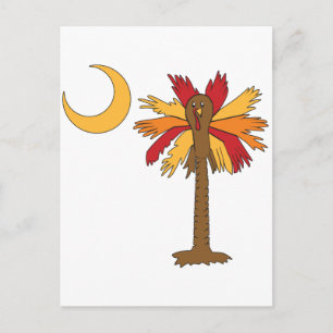 Turkey Palmetto Moon Postcard