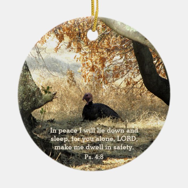 Turkey Paradise Psalm Ornament (Front)
