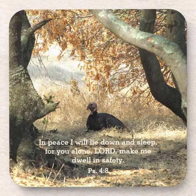 Turkey Paraside Psalm Coasters (Front)