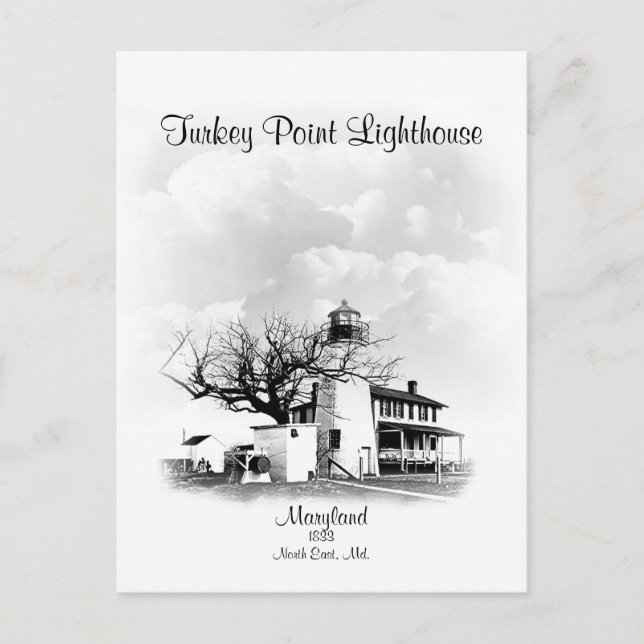 Turkey Point Lighthouse - Maryland Postcard (Front)
