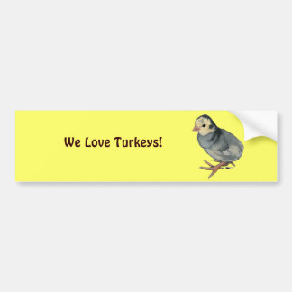 Turkey Poult Blue Slate Bumper Sticker