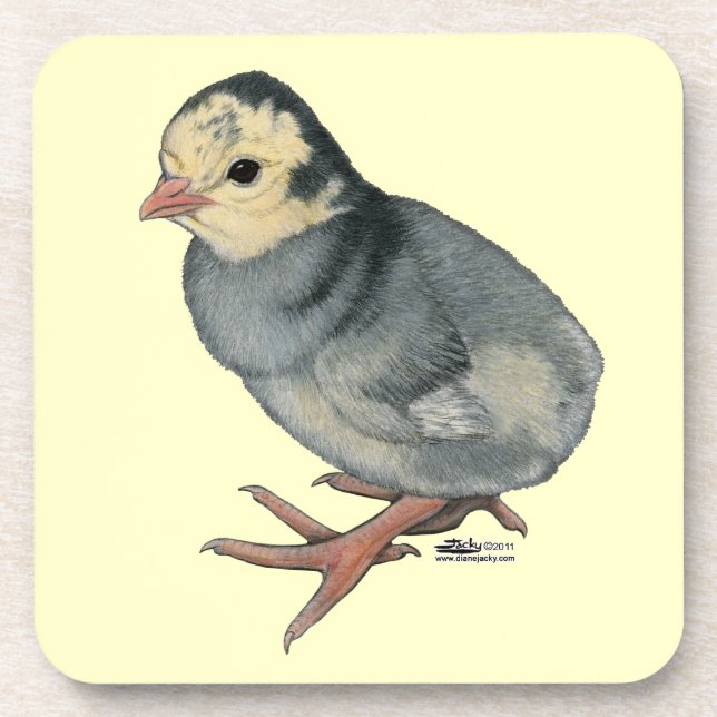 Turkey Poult Blue Slate Coaster (Front)