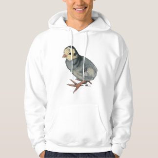 Turkey Poult Blue Slate Hoodie