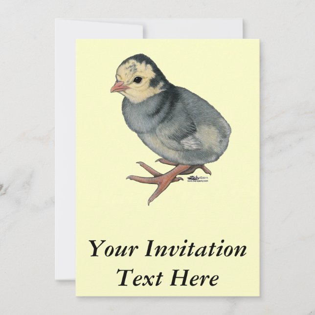 Turkey Poult Blue Slate Invitation (Front)