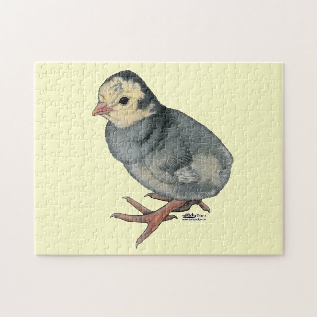Turkey Poult Blue Slate Jigsaw Puzzle (Horizontal)
