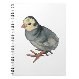 Turkey Poult Blue Slate Spiral Notebook