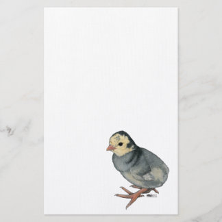 Turkey Poult Blue Slate Stationery