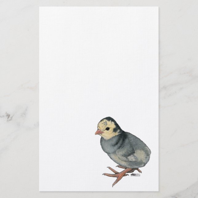 Turkey Poult Blue Slate Stationery (Front)