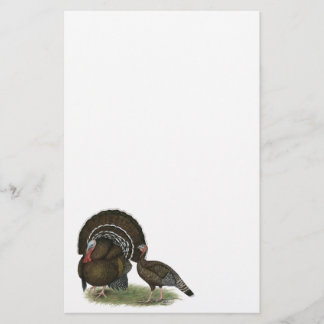 Turkey Standard Bronze Stationery